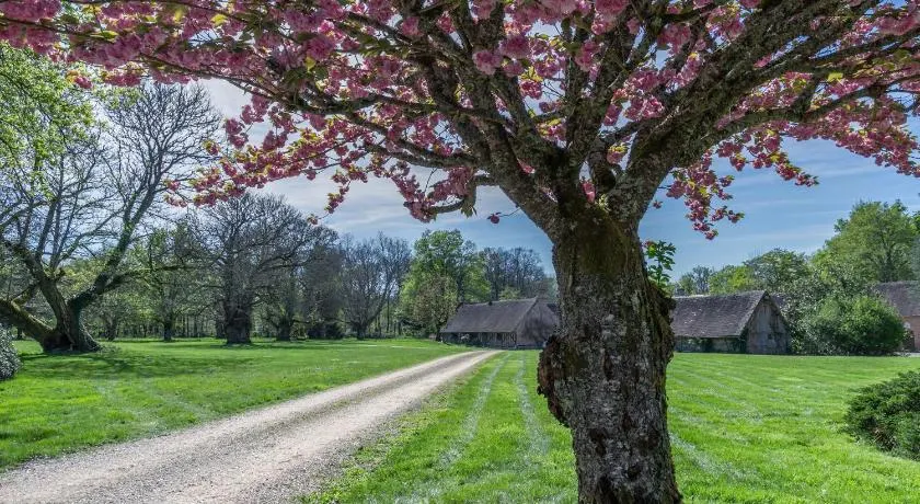 Gîtes les Muids - Les "Oiseaux" et la "Ferme" - Image 1