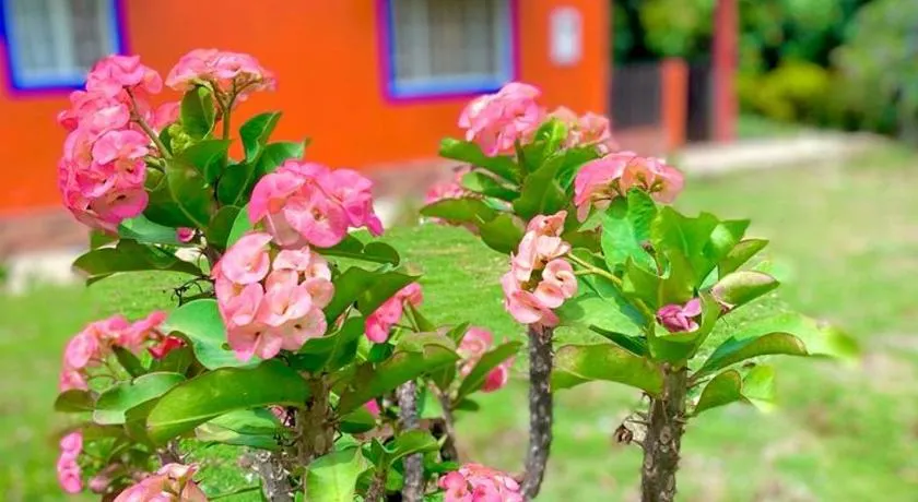 Finca el Paraíso - Image 1