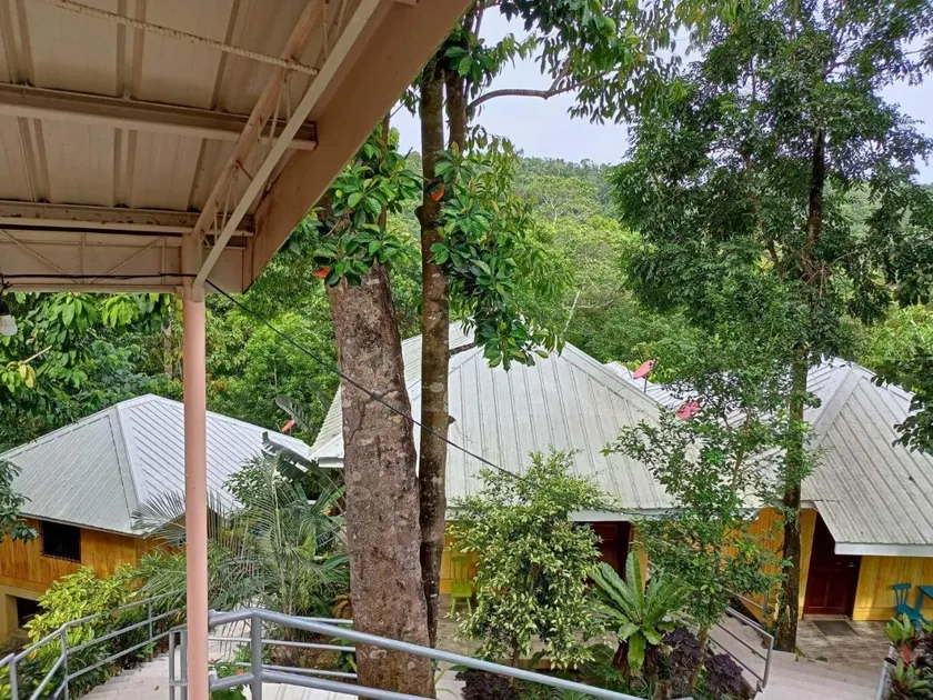Woodland Inn - Image 1