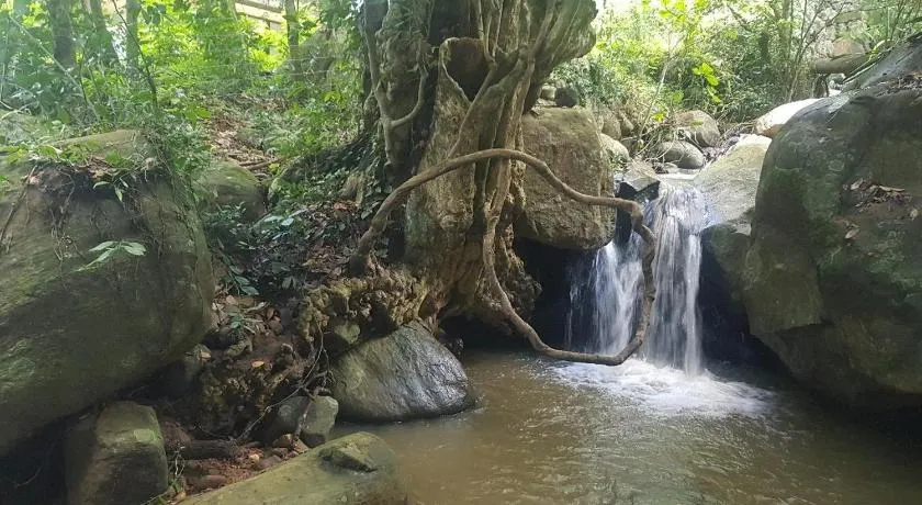Dilco Nature Resort - BERAGALA - Image 1