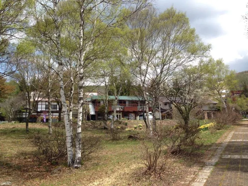B&B Sora - Image 1