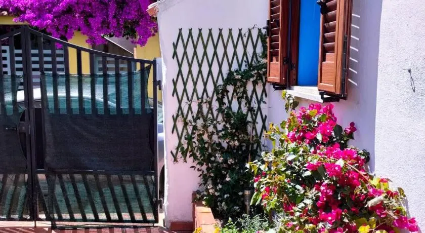 Nel Cortile della Casa di Carta, due Singole Unità - Image 1