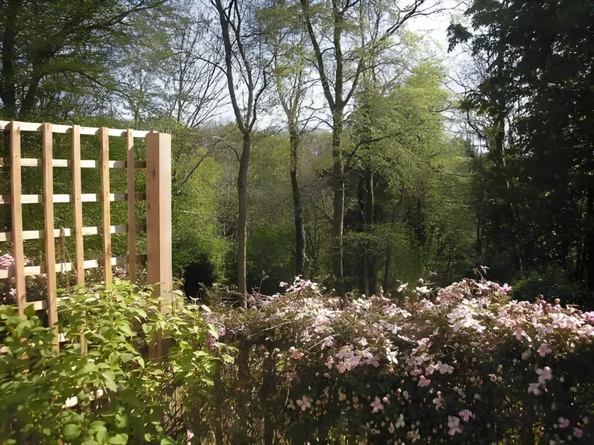 Woodland Views - Image 1