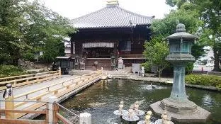 Guest House Marin - Image 1