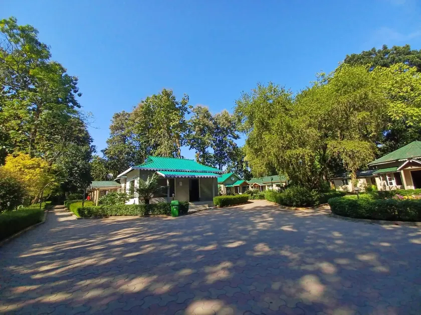 Tuskers Den Forest Resort - Image 1