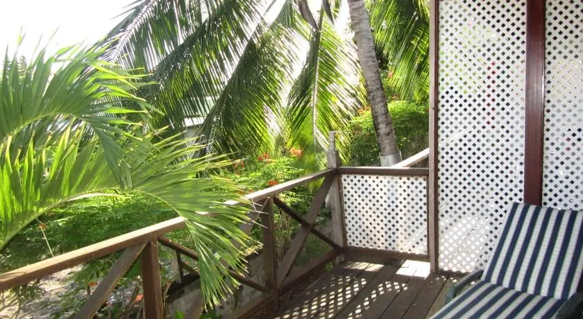 Dolphin Inn Guesthouse & Apartments - Image 1
