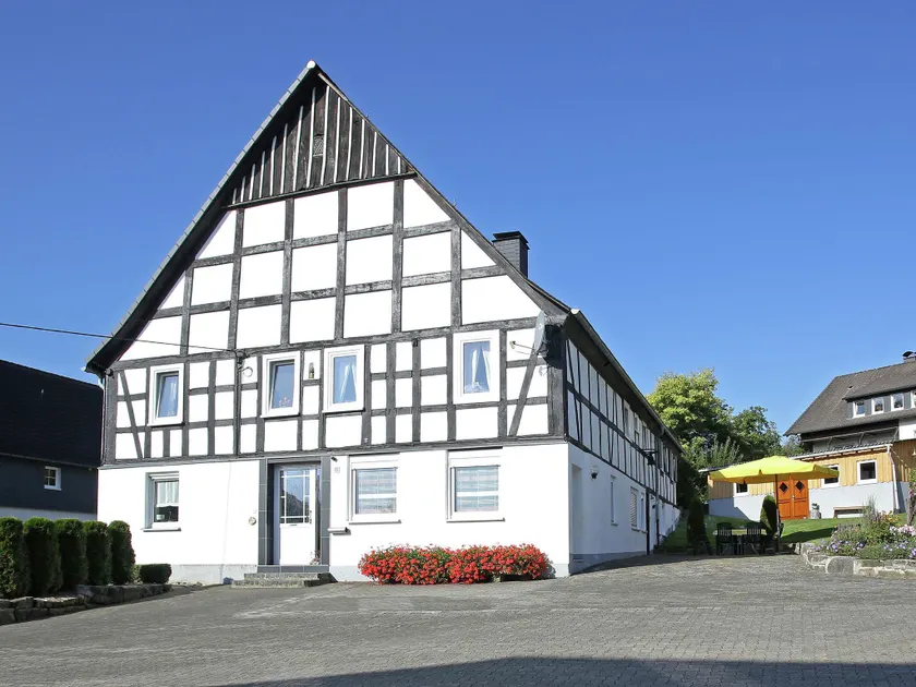 Apartment in the Sauerland region on a farm with animals and private terrace - Image 1