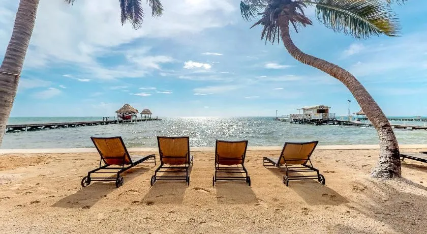 Saponaria 21-22 at Caribe Island Gold Standard Certified - Image 1