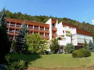 Hotel Flóra - Image 1