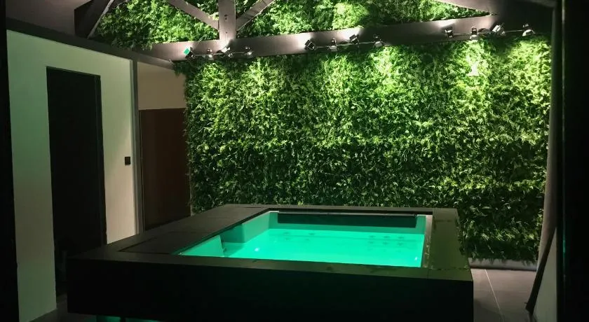 Loft piscine et spa provence - Image 1