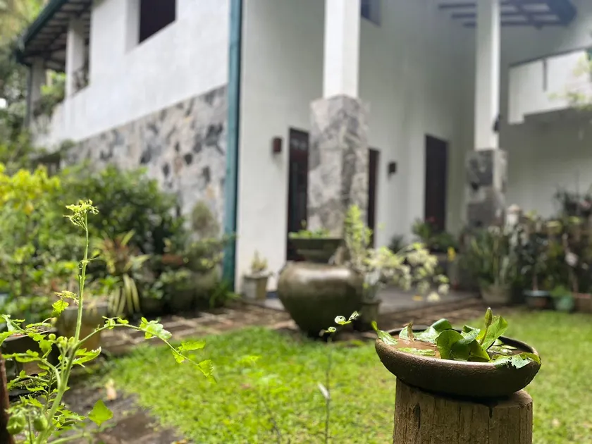 Rustic Mahaweli - Image 1