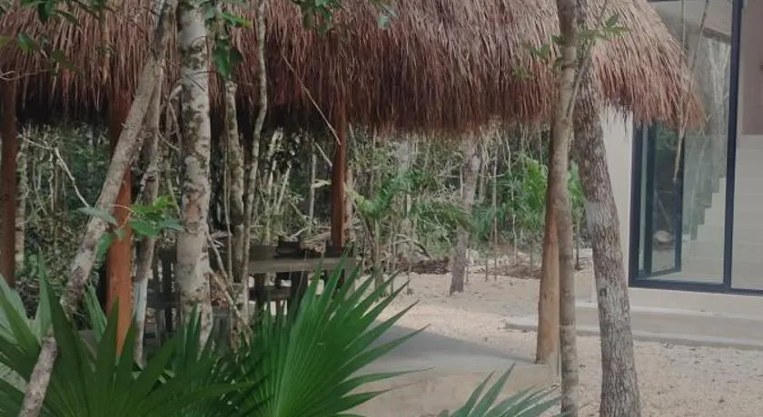 Casabel Tulum jungle experience - Image 1