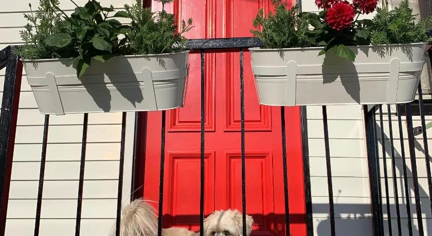 Family and pet friendly home in Brisbane - Image 1