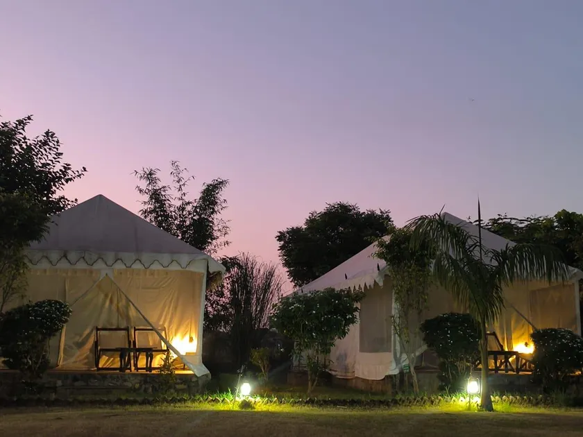 Tiger Echo Safari Resort - Image 1