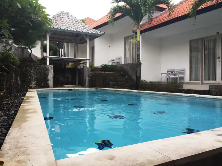 White Dove Villa - Image 1
