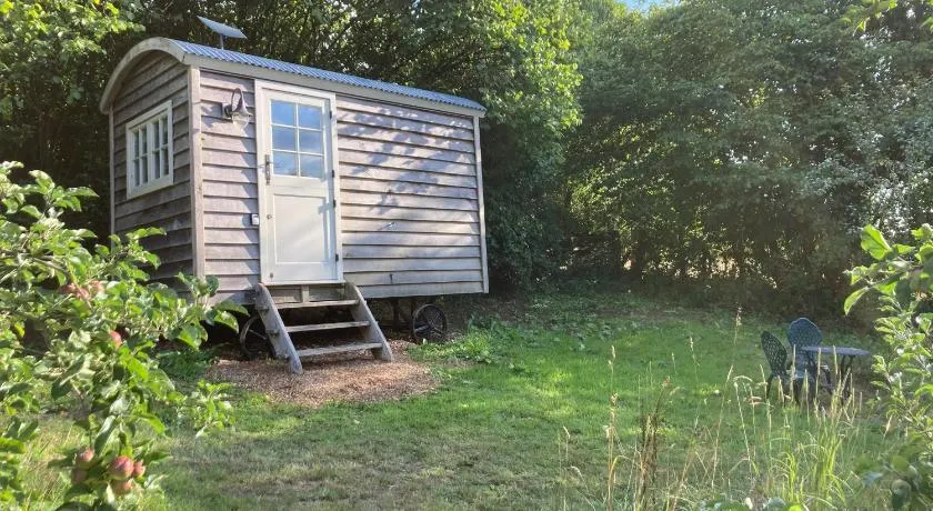 The Orchard Hut - Image 1