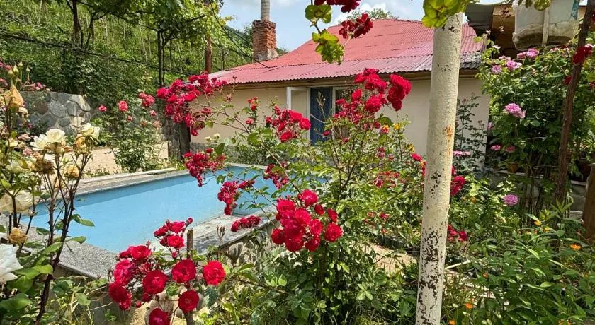 Friendly Cottage with small Pool - Image 1