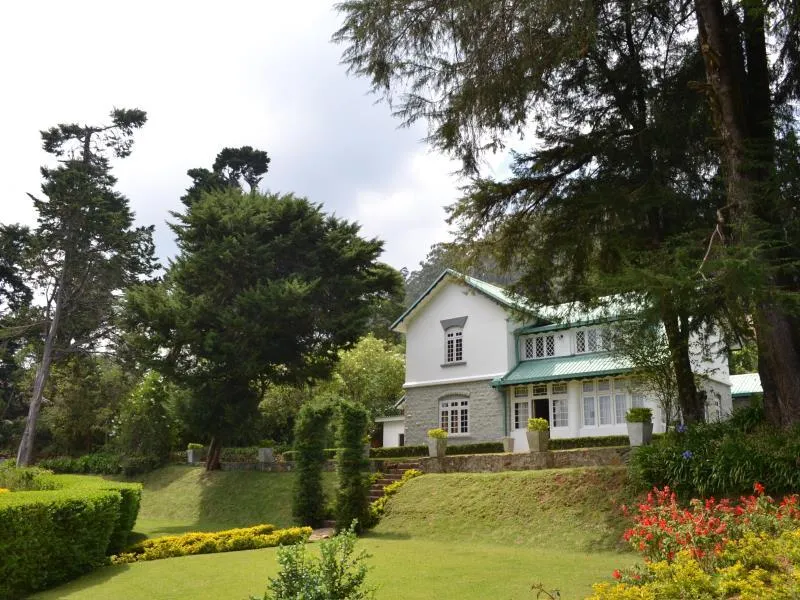 Brockenhurst Bungalow - Image 1
