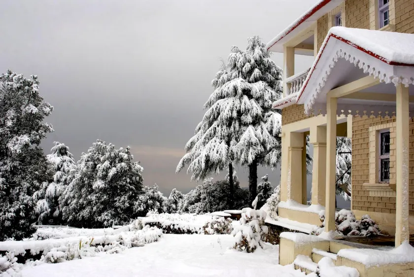 Tree of Life Grand Oak Manor Binsar - Image 1