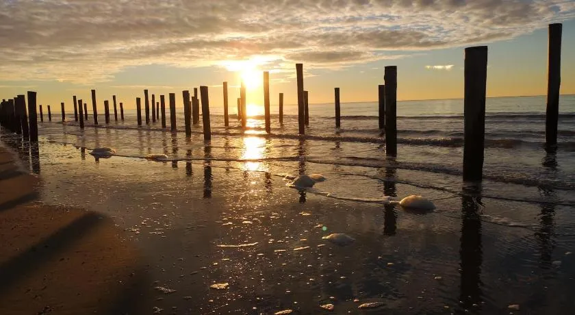 Nieuw Strand - Image 1