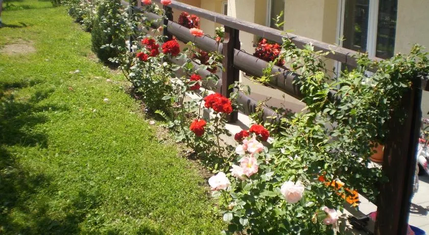 Apartments Vila Velickovic - Image 1