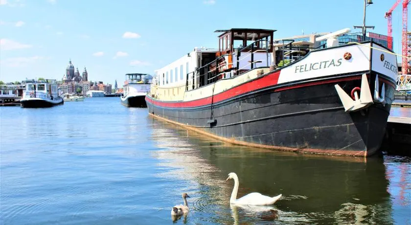 Amice - Image 1