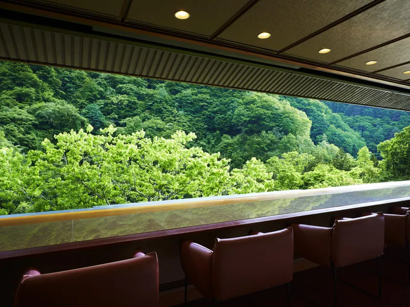 Fujiiso - Image 1