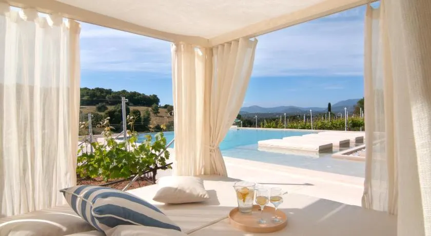 Vineyard Estate - Image 1