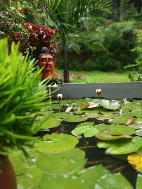 The farmers homestay - Image 1
