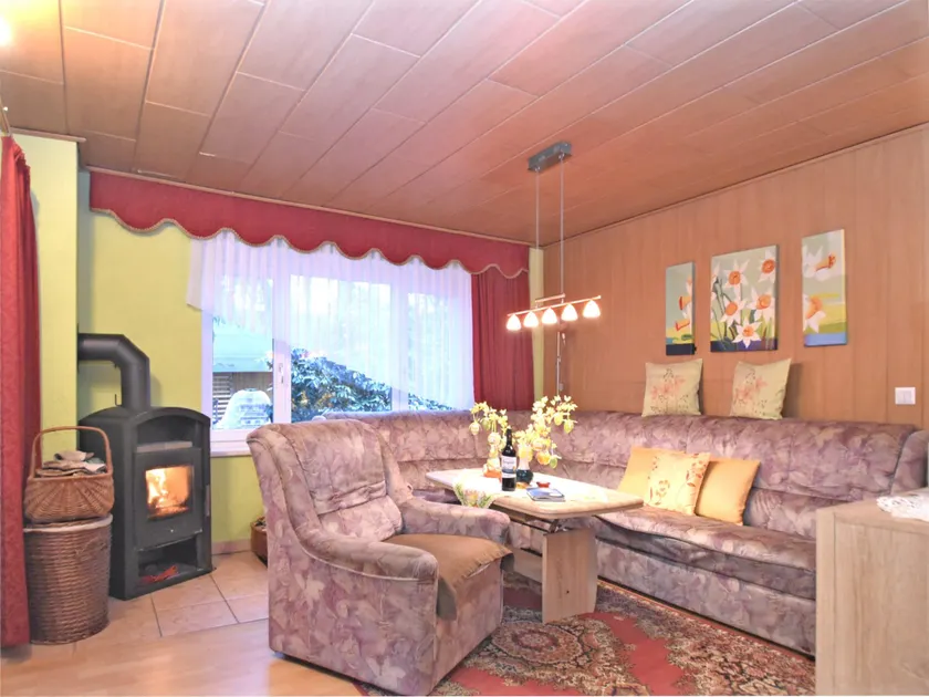 Ferienhaus in Vogtland - Image 1
