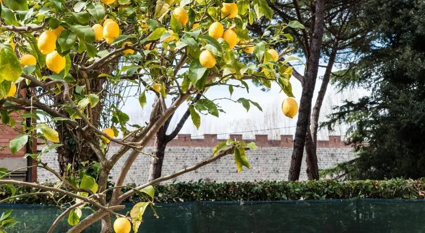 Lemon House YELLOW - Image 1