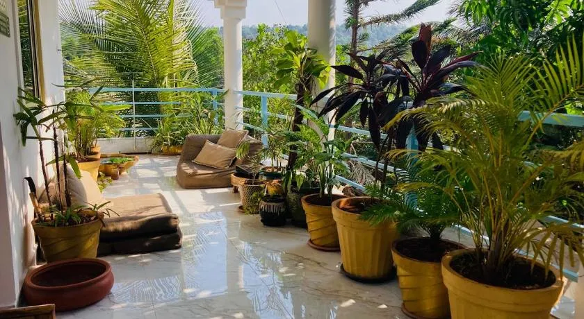Hidden Haven, Eden in India ! Quietest stay in Goa - Image 1