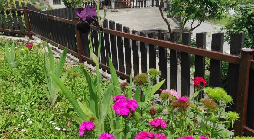 Apartman Domi - Image 1