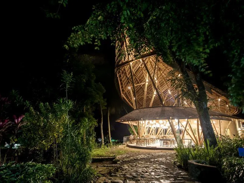 Ecolodge Bukit Lawang - Image 1