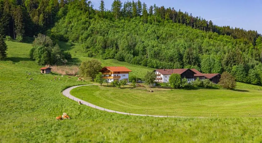 Gradevole appartamento adatto alle famiglie con griglia e giardino | Vista sul giardino - Image 1