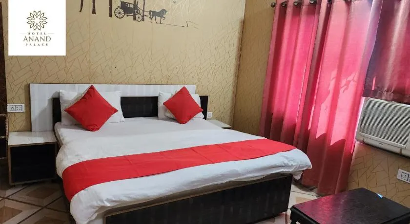 Hotel Anand Palace - Image 1