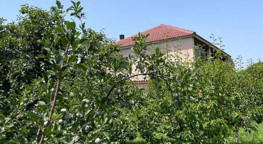 Villa Mance - Image 1