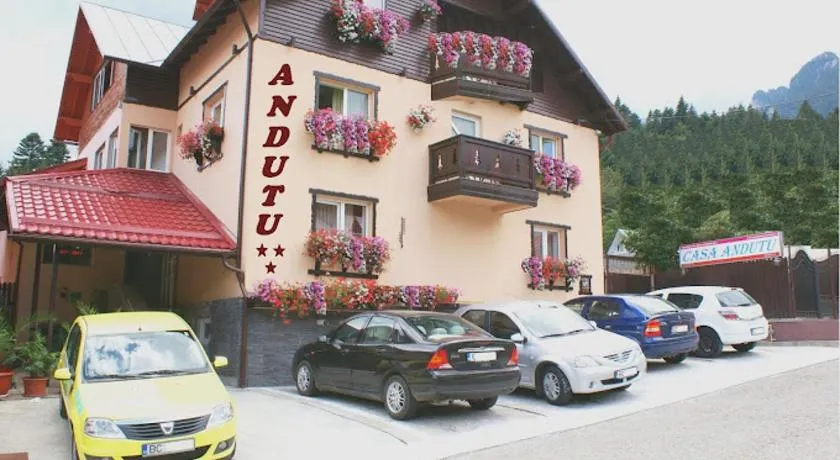 Anduțu - Image 1