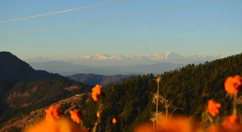 MUSKOTIA Independent Cottages - Image 1