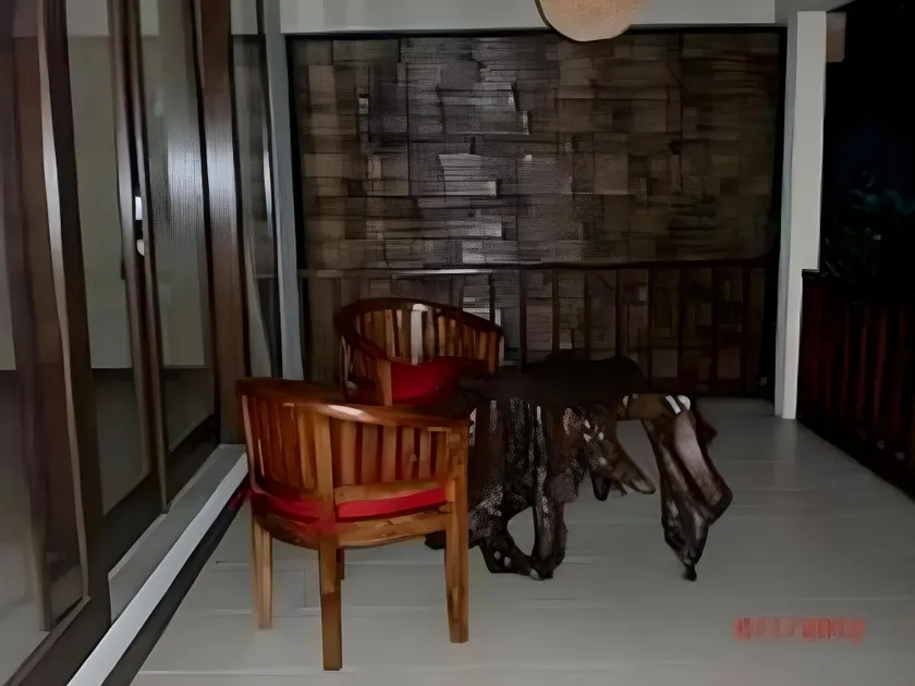 Manuaba Inn - Image 1