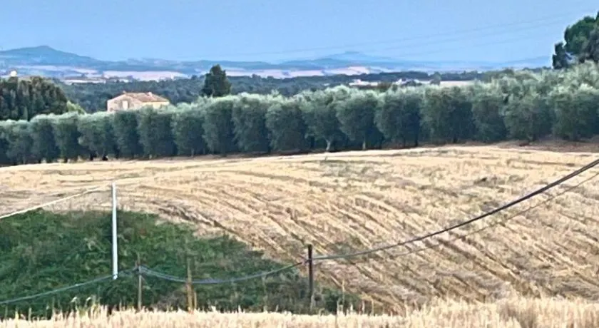 Angolo,di Chianti - Image 1
