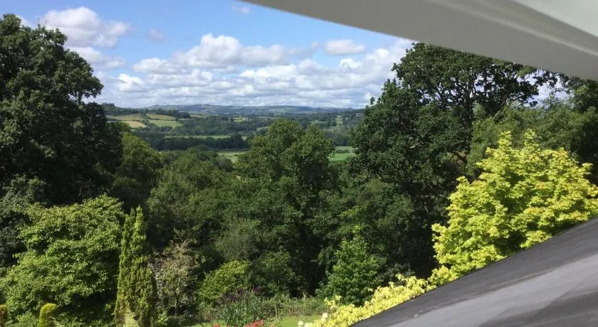 Dwynant - A Room with a View - Image 1