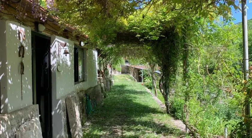 Tra Fiori e Antichità - Image 1