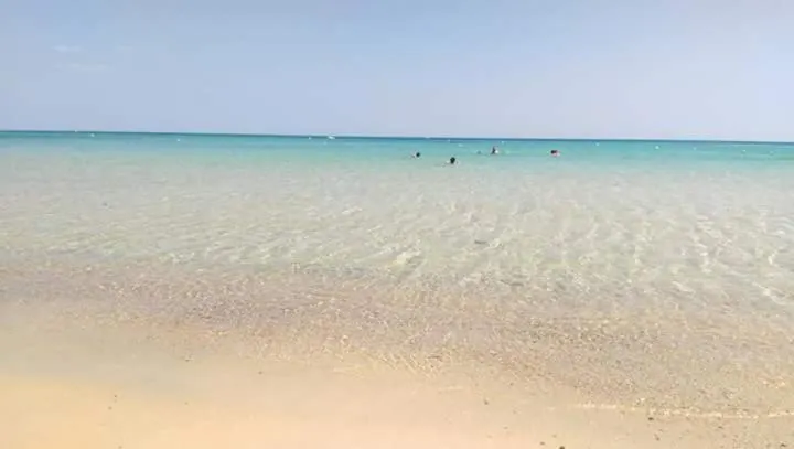 Le lagon de Hammamet - Image 1