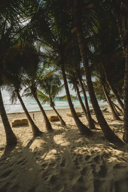 Ether Tulum - Image 1