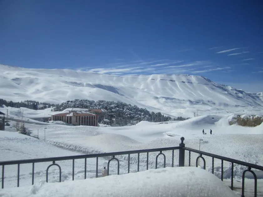 Cedars Palace - Image 1