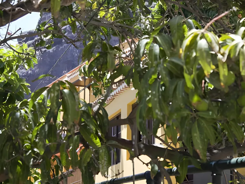 Apartamentos Concha - Image 1