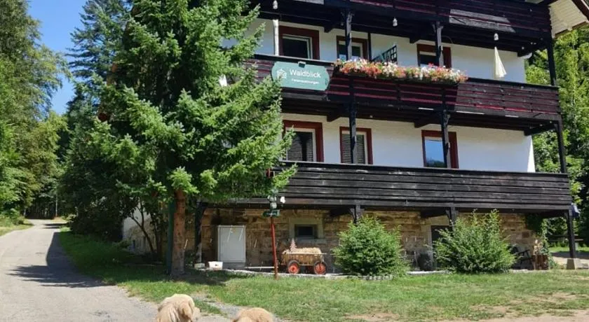 Waldblick Ferienwohnungen - Image 1