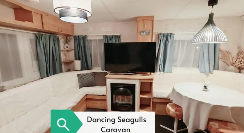 Dancing Seagulls Caravan - Image 1