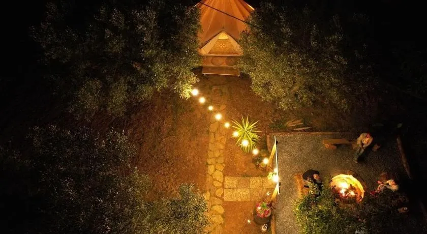 Golden Camp - Image 1